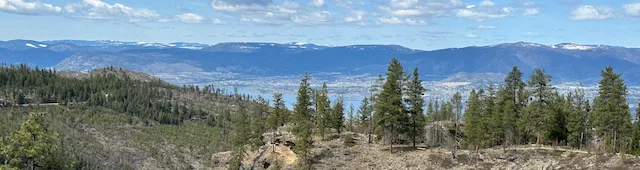 Mountains in the distance with a lake and trees in the foreground